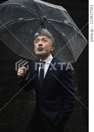 傘をさすビジネスマン 123617561