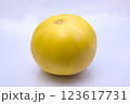 Fresh Yellow Honeydew Melon, Close-Up Shot Isolated on White Background 123617731