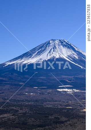 山梨県・竜ヶ岳より望む富士山の絶景 123617838