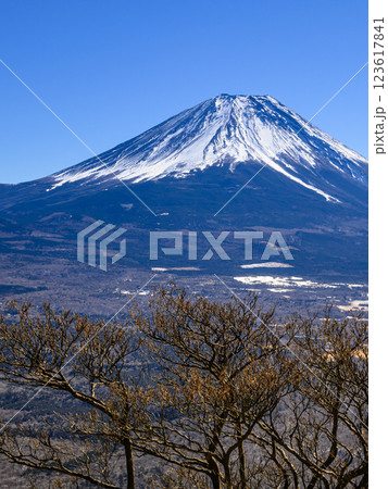 山梨県・竜ヶ岳より望む富士山の絶景 123617841