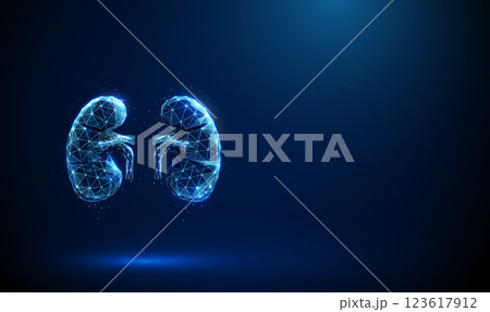 Abstract blue human kidneys. Low poly style. Kidneys anatomy, health, medical diagnostics concept. Abstract blue human kidneys. Low poly style. Kidneys anatomy, health, medical diagnostics concept. 123617912