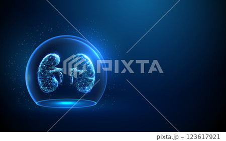 Abstract blue human kidneys inside a glass dome. Neon sphere shield Healthcare protection medical concept. Abstract blue human kidneys inside a glass dome. Neon sphere shield Healthcare protection medical concept. 123617921