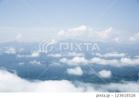Mountain landscape. foggy morning. High angle view of trees in forest during foggy weather. Beautiful mountain and cloud natural landscape at sunrise in Thailand. evergreen coniferous forest in fog. 123618526