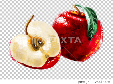 水彩で描いたりんご 水彩で描いたりんご 123618586
