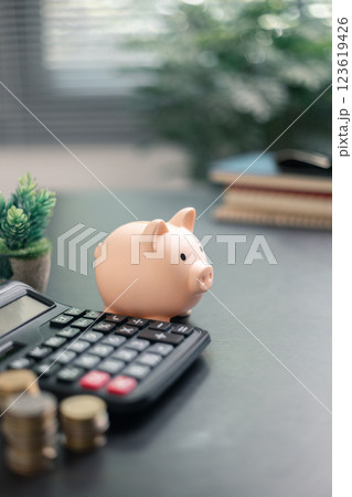 Finance bank tax expense accounting budget money businessman hand use calculator Financial calculate accountant close up calculator with graph chart write office desk Business expense analysis saving Finance bank tax expense accounting budget money businessman hand use calculator Financial calculate accountant close up calculator with graph chart write office desk Business expense analysis saving 123619426