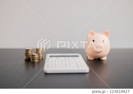 Finance bank tax expense accounting budget money businessman hand use calculator Financial calculate accountant close up calculator with graph chart write office desk Business expense analysis saving Finance bank tax expense accounting budget money businessman hand use calculator Financial calculate accountant close up calculator with graph chart write office desk Business expense analysis saving 123619427
