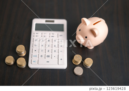 Finance bank tax expense accounting budget money businessman hand use calculator Financial calculate accountant close up calculator with graph chart write office desk Business expense analysis saving Finance bank tax expense accounting budget money businessman hand use calculator Financial calculate accountant close up calculator with graph chart write office desk Business expense analysis saving 123619428