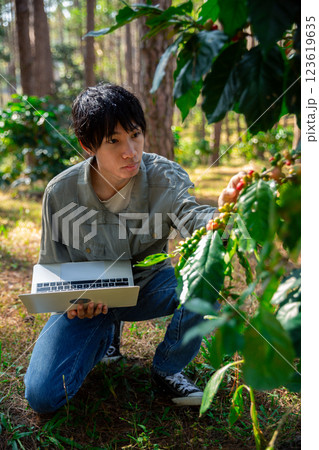 Harvest coffee bean ripe Red berries typing laptop computer check quality control plant coffee tree. Smart farmer using laptop in green coffee farm sustainable quality control agriculture technology Harvest coffee bean ripe Red berries typing laptop computer check quality control plant coffee tree. Smart farmer using laptop in green coffee farm sustainable quality control agriculture technology 123619635