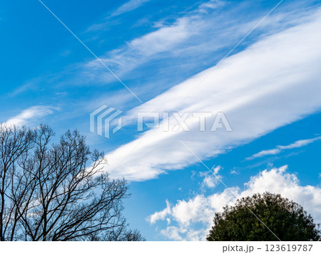 冬の青空に浮かぶ筋雲 123619787