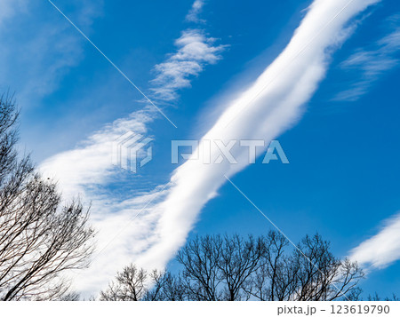 冬の青空に浮かぶ筋雲 123619790