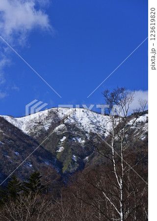 奥日光風景～湯ノ湖畔から望む五色山～ 123619820