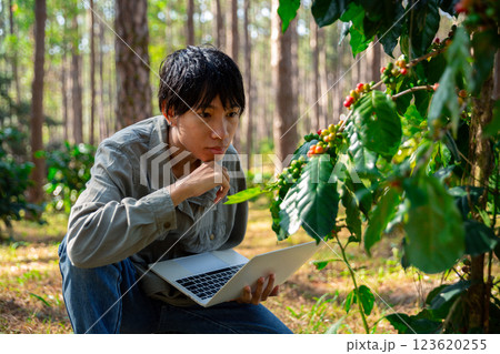 Harvest coffee bean ripe Red berries typing laptop computer check quality control plant coffee tree. Smart farmer using laptop in green coffee farm sustainable quality control agriculture technology Harvest coffee bean ripe Red berries typing laptop computer check quality control plant coffee tree. Smart farmer using laptop in green coffee farm sustainable quality control agriculture technology 123620255