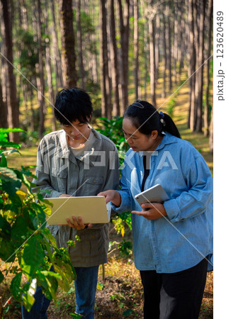 Harvest coffee bean ripe Red berries typing laptop computer check quality control plant coffee tree. Smart farmer using laptop in green coffee farm sustainable quality control agriculture technology 123620489