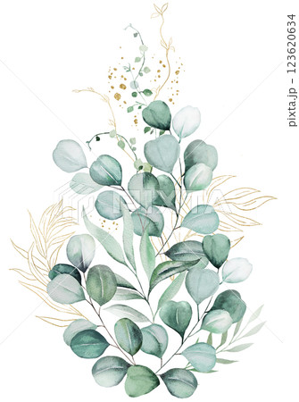 Bouquet with green and golden watercolor eucalyptus leaves, pastel wedding isolated illustration Bouquet with green and golden watercolor eucalyptus leaves, pastel wedding isolated illustration 123620634