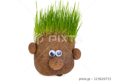 doll with growing grass doll with growing grass 123620715