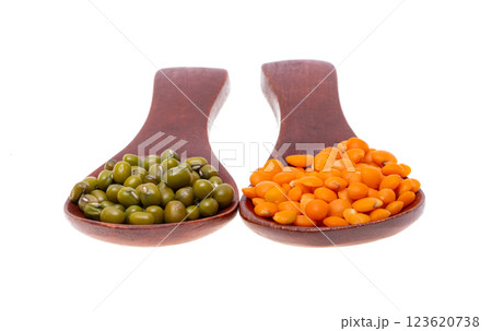 mung beans and lentils isolated 123620738
