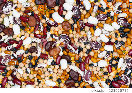 background of different legumes background of different legumes 123620752