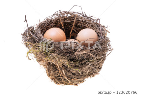 bird nest isolated bird nest isolated 123620766