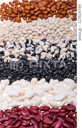 bean mix isolated 123620789