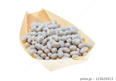 white beans isolated 123620813