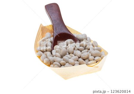 white beans isolated 123620814