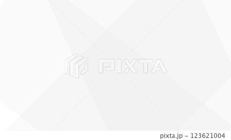 ホワイトのラインの幾何学模様の背景 123621004
