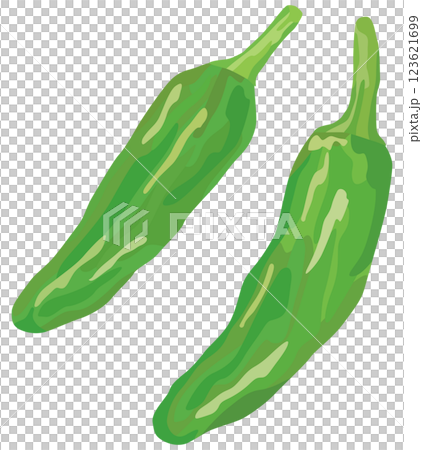 シシトウのイラスト ベクター素材 123621699