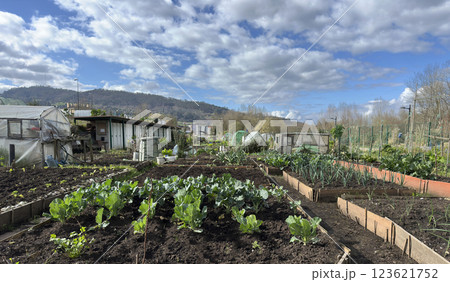 A garden with many plants and a water spigot A garden with many plants and a water spigot 123621752