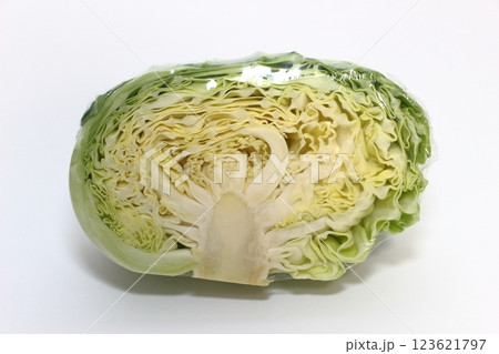 みずみずしいキャベツ、食卓彩る緑と白 みずみずしいキャベツ、食卓彩る緑と白 123621797