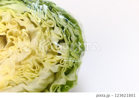 新鮮キャベツ、瑞々しい断面の秘密 123621801