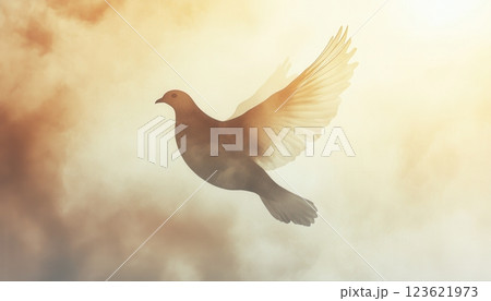 Double exposure funeral flyer featuring a large dove silhouette blended with a serene sky, warm sunlight, and soft clouds, creating a peaceful and reflective memorial design. 123621973