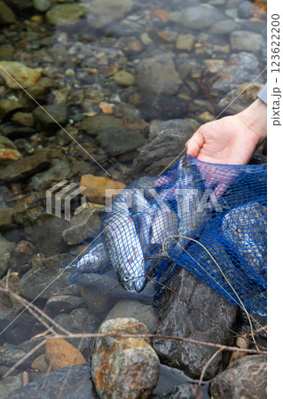 たくさん取れた魚 たくさん取れた魚 123622200