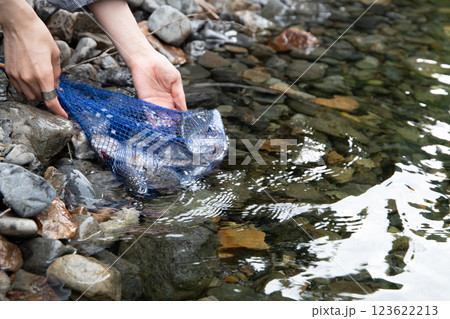 釣った魚を確認する男性の手 123622213