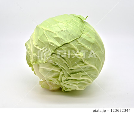 キャベツ(グリーンボール gleen ball) キャベツ(グリーンボール gleen ball) 123622344