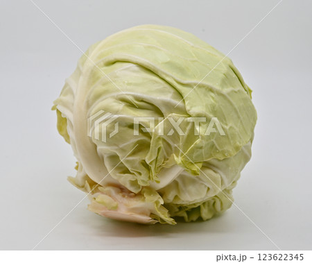 キャベツ(グリーンボール gleen ball) 123622345