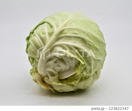 キャベツ(グリーンボール gleen ball) キャベツ(グリーンボール gleen ball) 123622347