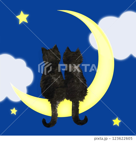 墨で描かれた2匹の黒猫が三日月の上に仲良く座り星空を眺めている 墨で描かれた2匹の黒猫が三日月の上に仲良く座り星空を眺めている 123622605