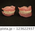 入れ歯 123622937