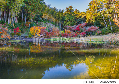 袋井市にある紅葉に彩られた可睡斎の放生池の風景(静岡県) 123622999