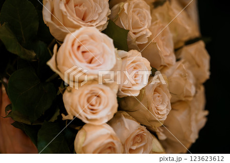 Elegant arrangement of soft pink roses in a bouquet with lush green leaves Elegant arrangement of soft pink roses in a bouquet with lush green leaves 123623612