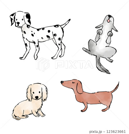 犬のイラスト　セット 123623661