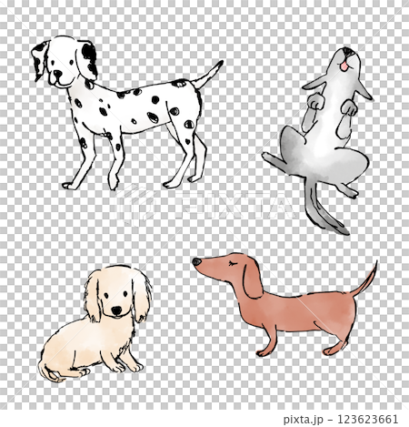 犬のイラスト　セット 123623661