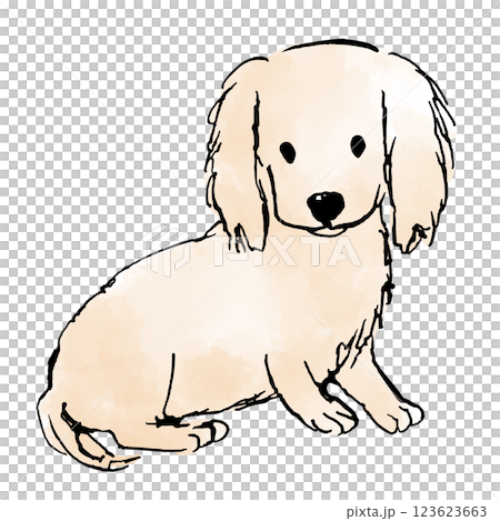狗狗插畫：黃金獵犬小狗 123623663