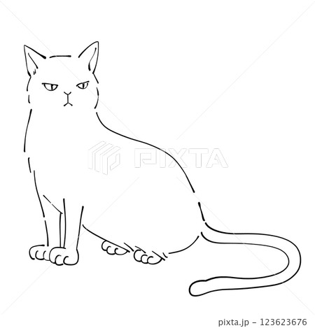 白黒　猫のイラスト 123623676