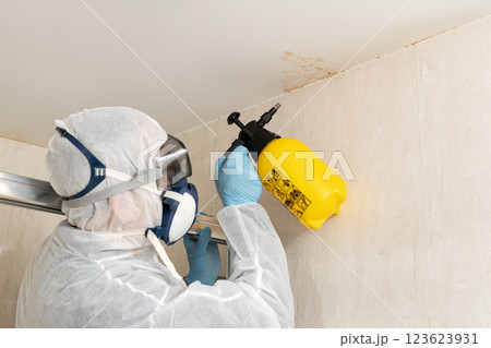Professional cleaner cleaning mold in a bathroom wearing a protective suit 123623931