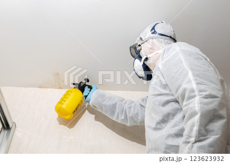 Person cleaning mold in a bathroom wearing a protective suit 123623932