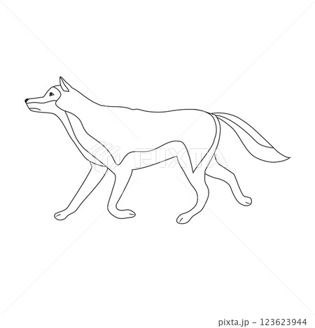 Vector flat hand drawn outline wolf 123623944
