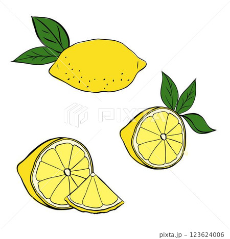 lemons with slices and green leaves composition set. Vector graphic line ink Illustration for menu and package designs. lemons with slices and green leaves composition set. Vector graphic line ink Illustration for menu and package designs. 123624006