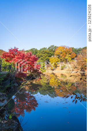 【紅葉】秋の奈良公園　鷺池 123624108
