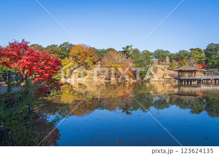 【紅葉】秋の奈良公園 鷺池に浮かぶ浮見堂 【紅葉】秋の奈良公園 鷺池に浮かぶ浮見堂 123624135